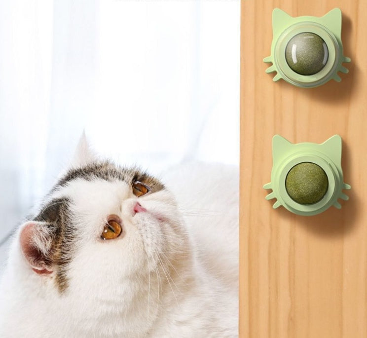 Catnip Rotating Wall Ball