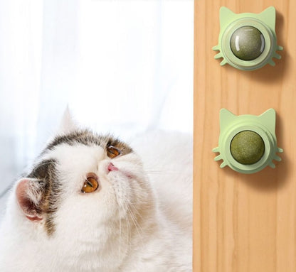 Catnip Rotating Wall Ball