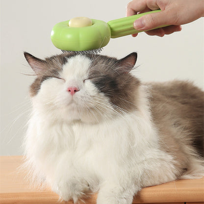 Sunflower Cat Comb